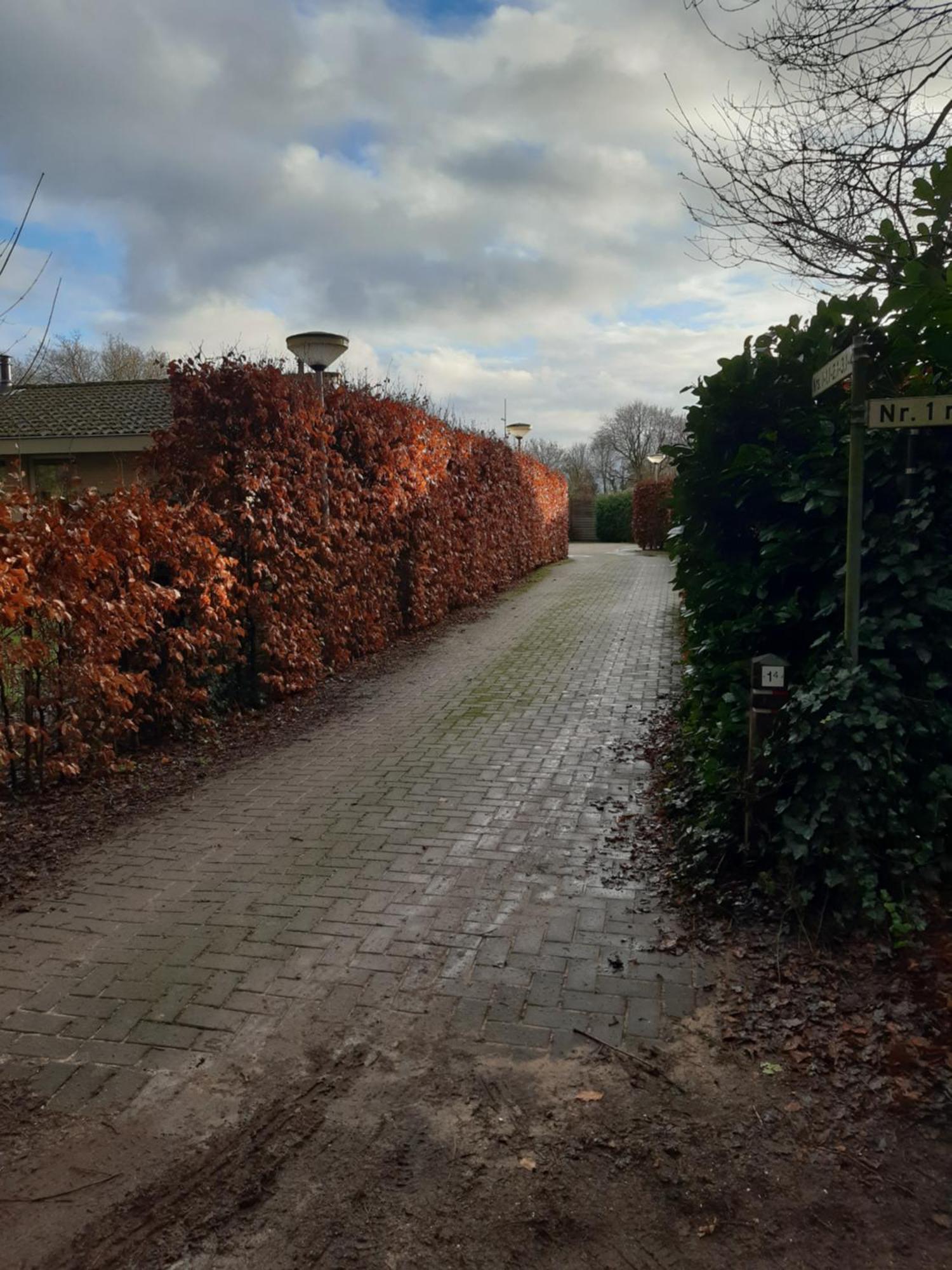 Huinerhofje 2 - Vrijstaand Met Grote Omheinde Tuin, Rust, Privacy En Nabij Bossen Villa Putten Exterior foto