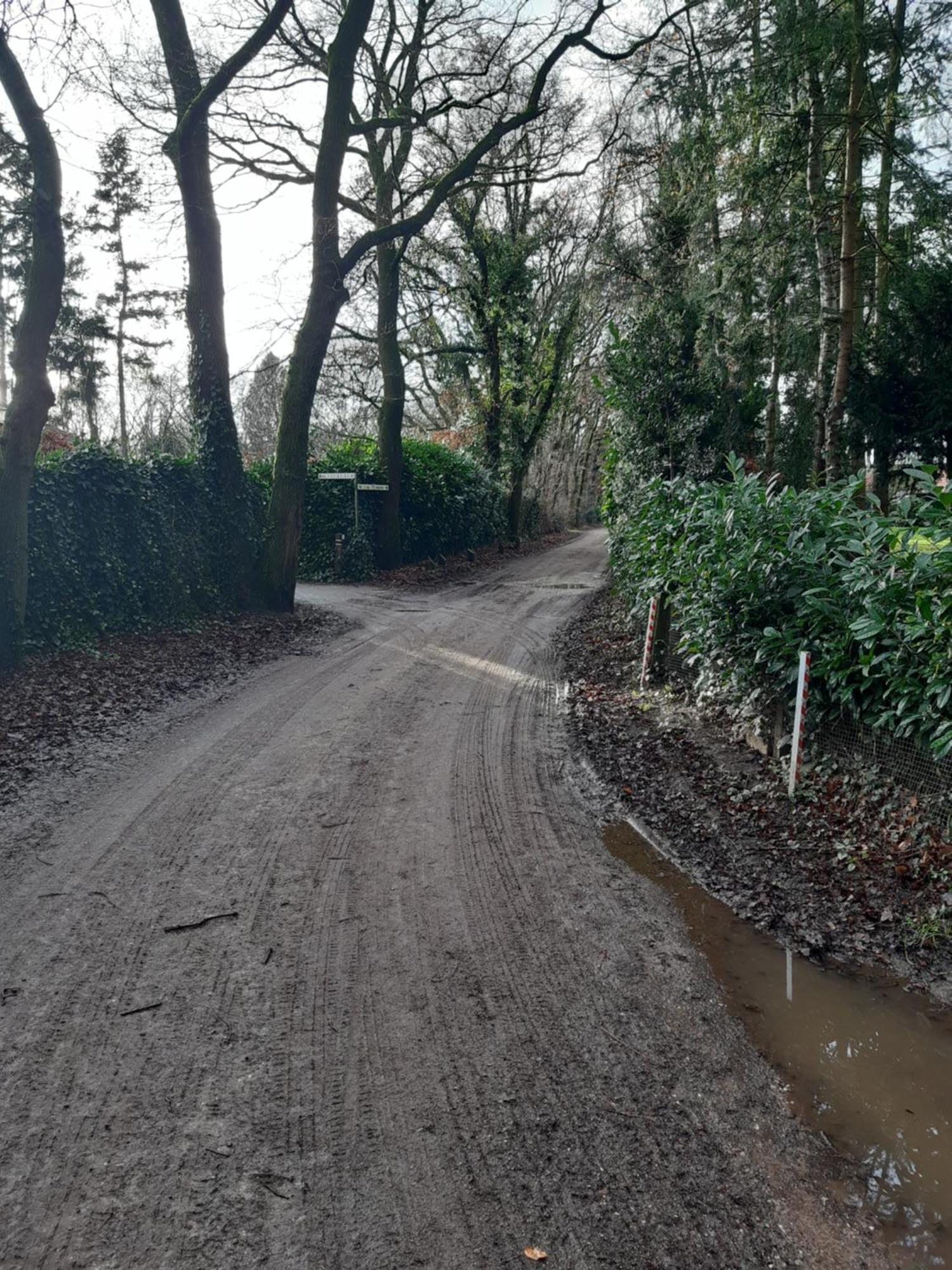 Huinerhofje 2 - Vrijstaand Met Grote Omheinde Tuin, Rust, Privacy En Nabij Bossen Villa Putten Exterior foto